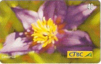 CTBC-T-0790 - Flores do Cerrado - 5/8